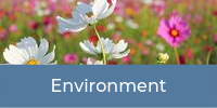Environment
