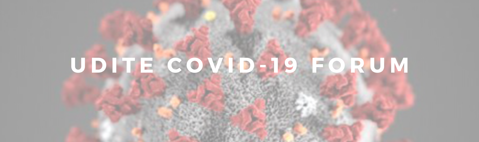 UDiTE COVID-19 Forum