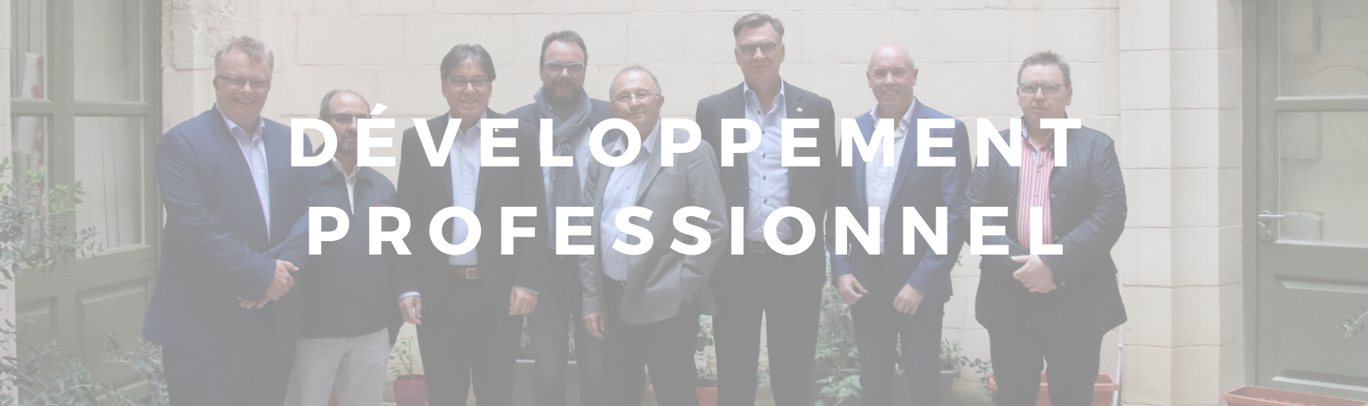Développement professionnel