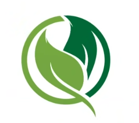 Two green leaves entwined in a circle shape