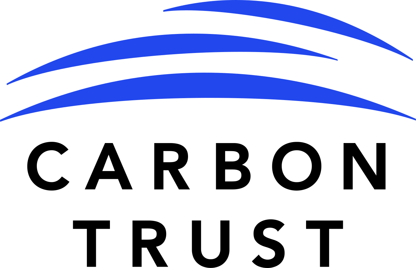 Bold black capitalised text reads 'CARBON TRUST'. Above this are three blue arcing lines, like brush strokes.