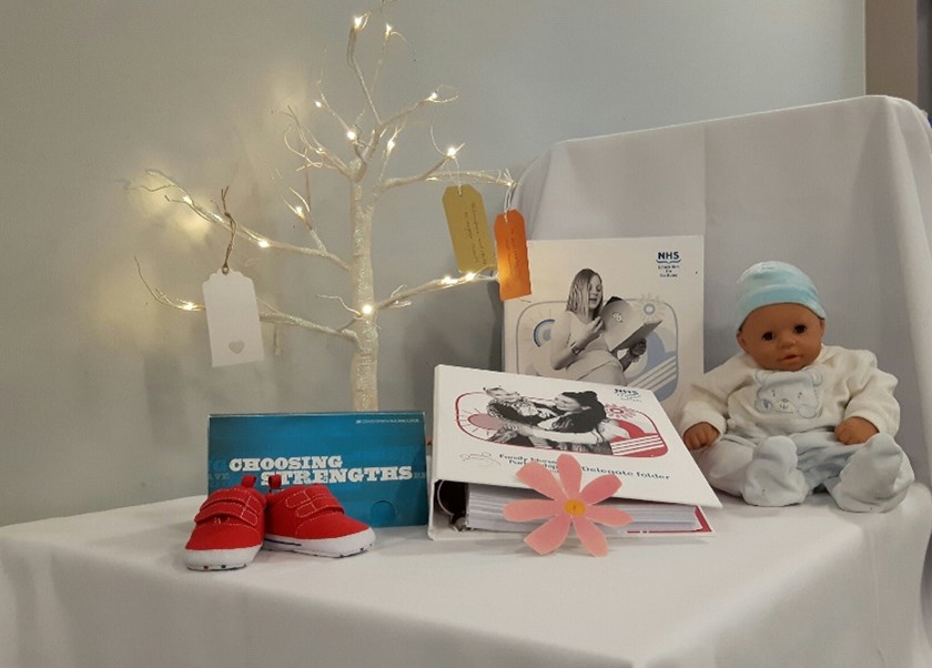 Family Nurse Partnership Education Materials 