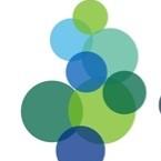 Coventry & Warwickshire Analyst Network Logo